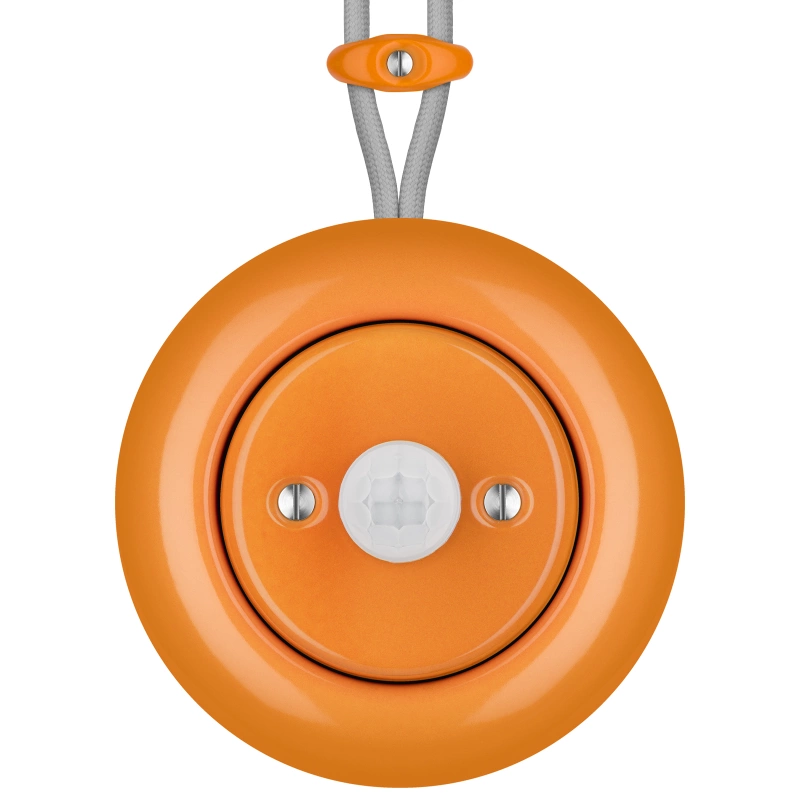 CAROTA